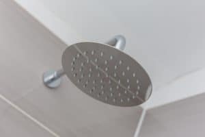 Image presents Should I replace the shower head or just fix it